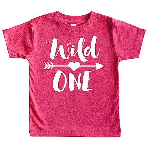 Wild One 1st Birthday Shirt for Baby Girls First Birthday Outfit Vintage Pink Shirt 12 Months
