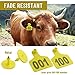 WMYCONGCONG Cattle Ear Tags, Large Plastic Livestock Ear Tags Yellow for Sheep Cattle Calf Hog with Number 001-100 and 1pcs Ear Tag Applicator