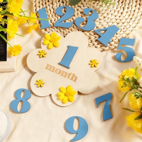 Image of TecoKart Baby Monthly Milestone Cards for New Born Photoshoot | Blue Baby Monthly Photoshoot Props for Milestone Memories