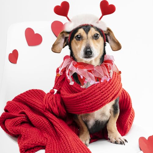 Disfraz para perro con cabeza de corazón rojo brillante y tutu miniatura 3