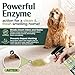 Sprinkle & Sweep: Pet Stain & Odor Enzyme Spray - 24oz - No Scrubbing Concentrated Formula, Dog & Cat Urine & Mess Destroyer, Carpet Spot Cleaning