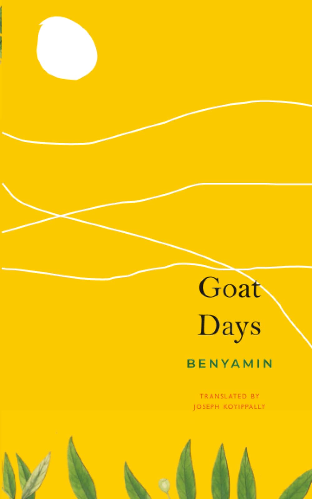 Goat Days by Benyamin Benyamin PAPERBACK 9780857429582