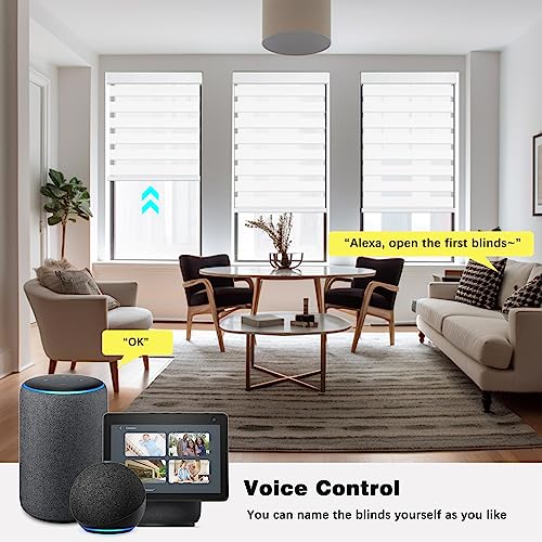 Image of Changshade Motorized Blinds with Remote Control, Blackout Custom Size Zebra Roller Shades for Windows Doors Cordless, Work with Alexa, Work with Alexa, Google, SmartThings, White, White(blackout)