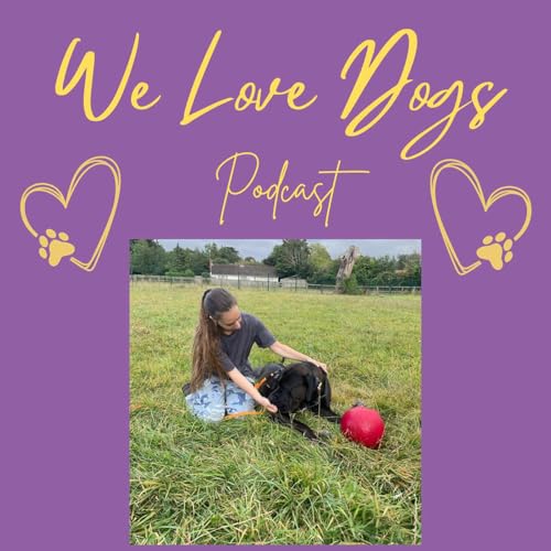 Beyond The label: Bull Breeds, Behaviour & Welfare - Interview With Jessica Hyams