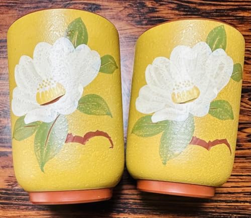 2�g �x�A �v�w���q �c�o�L �� ���g�� ���� �q��