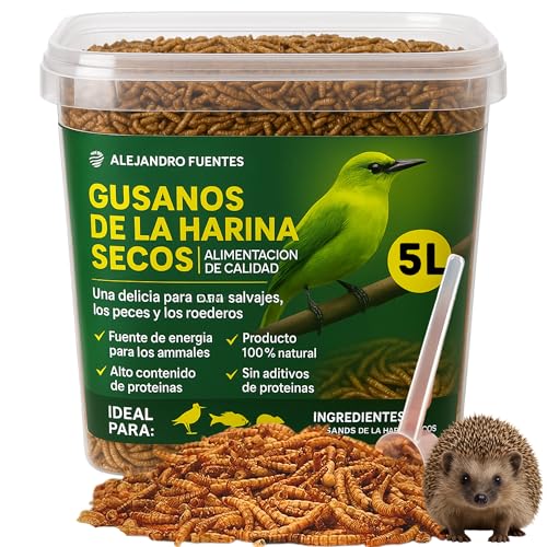 AF® vers de Farine Séchés Premium, 5L Ver de Farine Deshidraté 52% Protéines, Snack Naturel pour Hérisson, Reptiles et Rongeurs, 100% Naturel sans Additifs avec Fermeture Zip