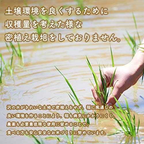 Amazon.co.jp: 令和7年産秋田県産あきたこまち精米150g（1合用