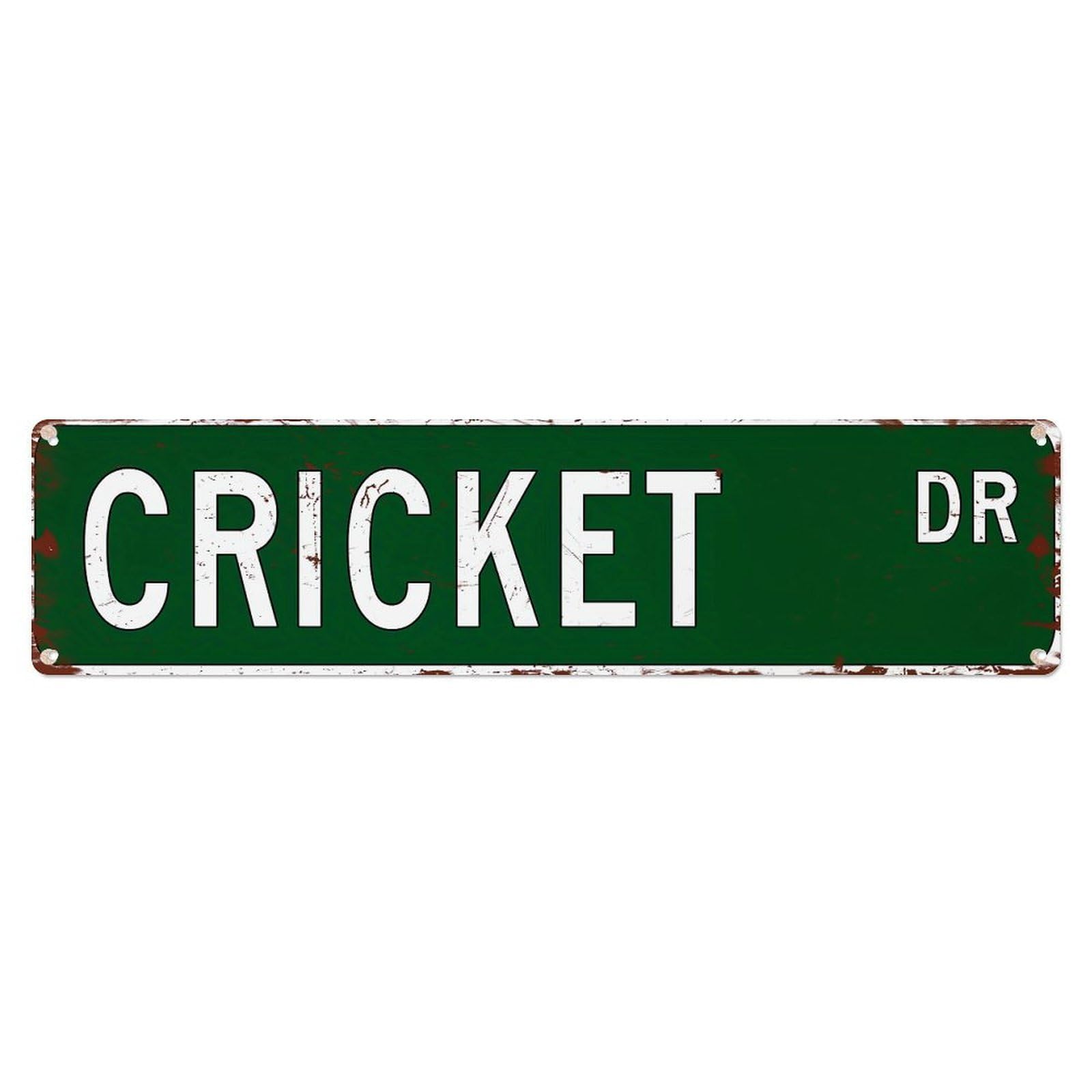 Cricket Dr Street Sign Pattern Metal Tin Sign Plaque