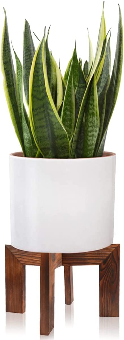 See full amazon price history chart for Dantawood Plant Stand, Mid Century Modern Planter Stand Rattan Flower Pot Stand, Low Short Plant Stands (1 Wood Grain) Dantawood Plant Stand, Mid Century Modern Planter Stand Rattan Flower Pot Stand, Low Short Plant Stands (1 Wood Grain) (B0BVFPD125) Amazon Price History, Amazon Price Tracker