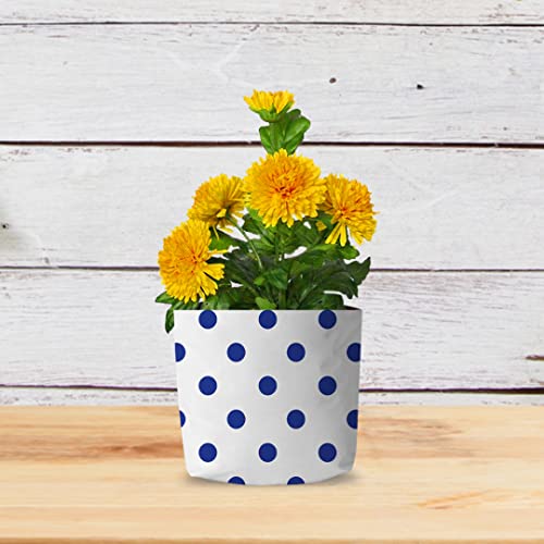 TrustBasket UV Stabilized Long Life Premium colorful Dotted Grow bag for Balcony & Terrace Gardening - 10 Qty (20*20*35cms)| Home Gardening Plant Container Bag for Leafy Vegetable and Flower Plants