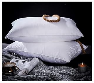 2pk Pair Pillow GOOSE Feather Down Continental Hypoallergenic White Cushions Square Insert Luxury Deluxe Best Hotel Quality Super Soft Warm and Cosy Anti Allergy Computer Construction, Self-fabric