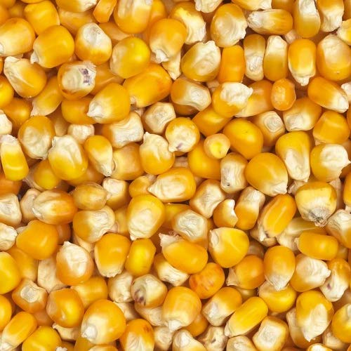 Eurital Yellow Crisbs Mais 5 kg für Tauben, Hühner, Geflügel und Wildvögel