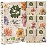 Nachhaltiges BIO Blumensamen Set - 6 Sorten BIO Blumen Samen, 100% Natürlich, extra viele Samen - BIO Saatgut für Blumenwiese und mehr - Pflanzensamen Set, Nachhaltig Verpackt