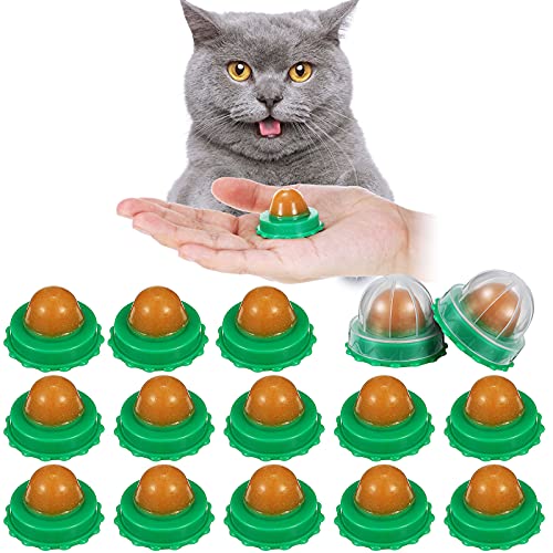 Skylety 15 Pieces Cat Snacks Candy Ball Edible Licking Catnip Sugar Energy Balls Cat Treats Catnip Toy Balls for Cats Kitten Kitty