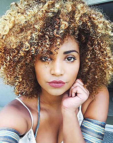PWEOUKE 6 Inch Short Afro Kinky Curly Wigs Ombre for Black Women Short Fluffy Afro Wigs Natural Looking Machine Made Soft Synthetic Wig Daily Use High Temperature Fiber Full Wigs T27#