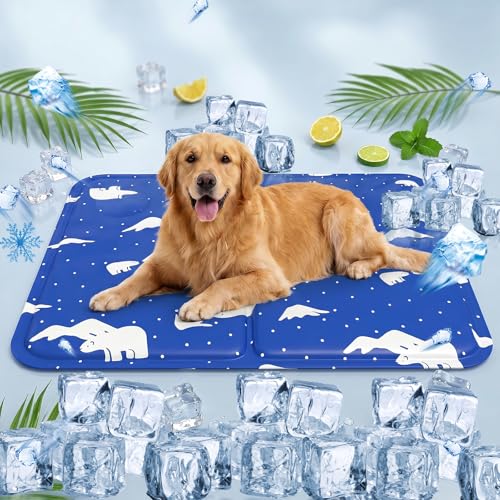 AHYDFSR Alfombra Refrescante para Perro Gato,Mascotas Alfombrilla Autoenfriante,Camas refrescante para Mascotas,Prueba de Arañazos/Impermeable/Antideslizante,para en Verano,50x60cm, L, Azul