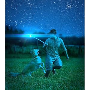 Chuckit max glow ball dog toy  urban country home decor