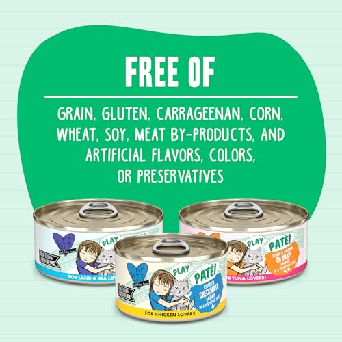 BFF Play Pate Chicken solution chat difficile qui boude sa gamelle de nourriture 147g - 14