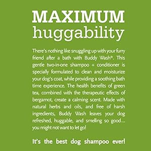 2-in-1-Dog-Shampoo-and-Conditioner-for-Dog-Grooming-Green-Tea-Bergamot-16-oz-Bottle - Cucciolini Doodles   2-in-1-Dog-Shampoo-and-Conditioner-for-Dog-Grooming-Green-Tea-Bergamot-16-oz-Bottle