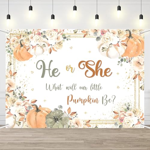 Décoration murale de fête pour shooting photo de Baby Shower automnale chic