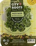 Organic Mustard Microgreens, 16 oz