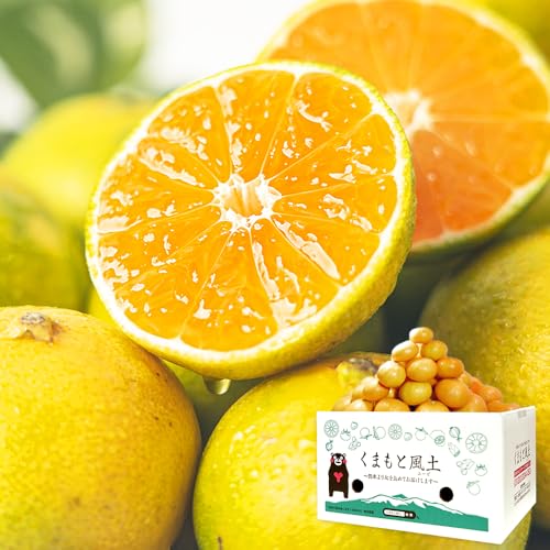 yF{݂z܂ƕy 󂠂F{݂ B F{Y 1.5kg 3kg 6kg 9kg ƒp Ɩp ݂   Mtg Ε (1.5kg)