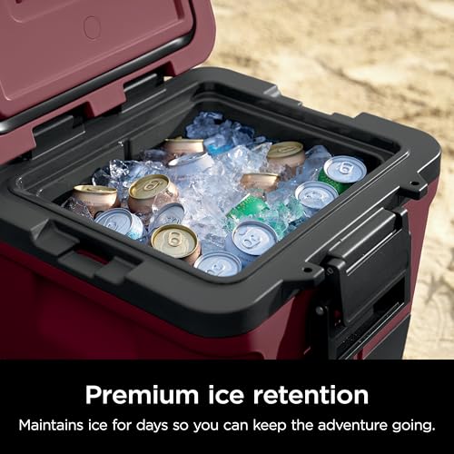 Image of Ninja FrostVault 30qt Cooler w /Wheels, Dry Storage Drawer, Canyon FB230MR