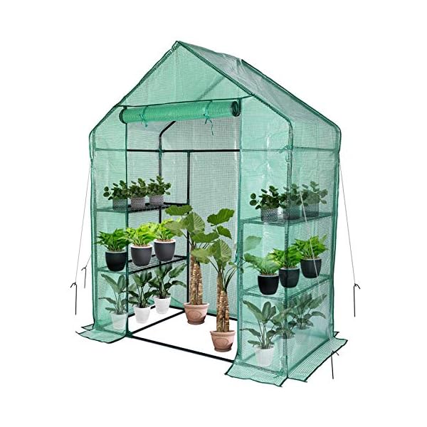 Small Greenhouse for Outdoors, Mini Walk in Greenhouse, Portable Greenhouse with Roll-up Zipper Entry Door and Anchors for Stability(4.7L×2.5W×6.3H Ft)