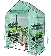 Amazon.com : Small Greenhouse for Outdoors,56 x 30 x 76''Mini Walk