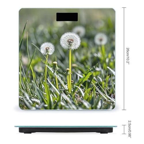 Báscula digital de baño con diseño Diente de León miniatura 2