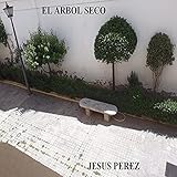 arbol seco decoracion  El Arbol Seco