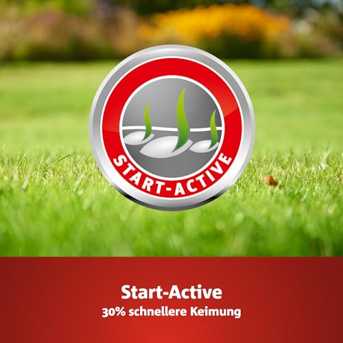 Foto von WOLF-Garten Turbo-Nachsaat „SCHATTEN“ zur Rasensanierung LR-S 25 (für 25 m², hohe Dichte mit ca. 100.000 Trieben/m², speziell auf schattige Lagen, mit WOLF-Garten Keimgarantie, im 500g Karton) 3826625