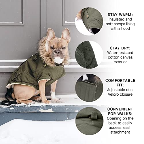 Canada Pooch Winter Dog Coat Water-Resistant Insulated Dog Jacket Faux-Fur Trim Dog Parka Coat For Dogs - Army Green, Size 14+ #TOP2