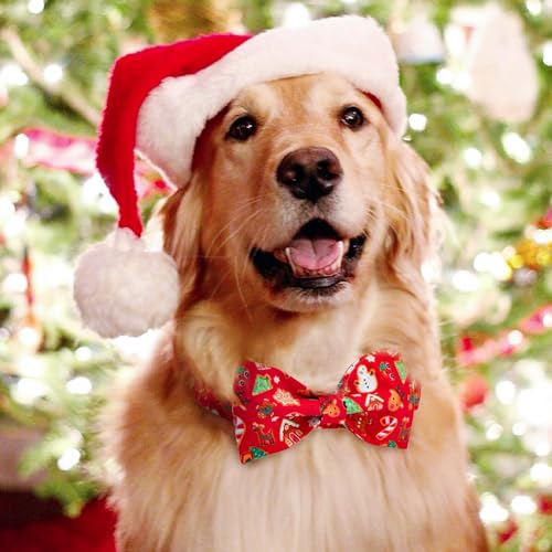 Image of Tunkoo Christmas Dog Collar with Elegant Bow Tie Soft Comfy Cotton Adjustable Collar, Premium Metal Buckle for Puppy and Cat Small Medium Large (Christmas C, M)