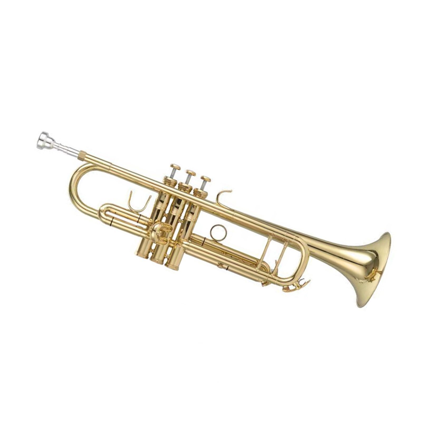 tromba Per Principianti Strumento Tromba In Si Bemolle Per Adulti Che Vogliono Imparare A Suonare Gli Strumenti A Fiato(Gold Lacquer)