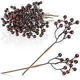 CREATIVO: ramitas con frutos rojos para manualidades y decoración, por ejemplo, B. de regalos, popurrís, arreglos florales y arreglos.