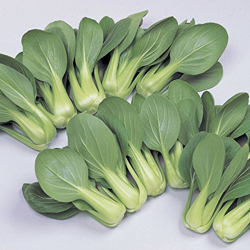 Amazon.com : Park Seed Variety of Bok Choy (Pak Choi) Vegetable