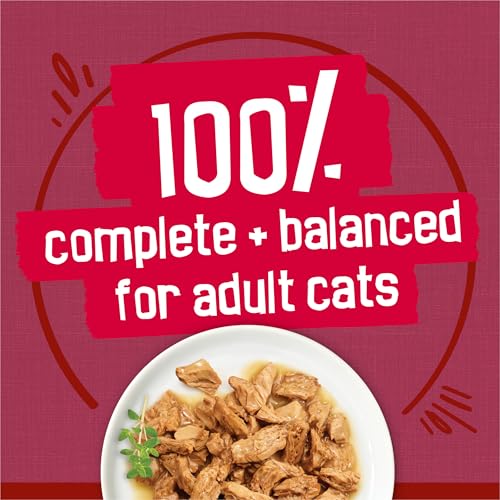 Purina Friskies Prime Filets Wet Cat Food in Gravy Variety (24) 5.5 oz Cans - image 6