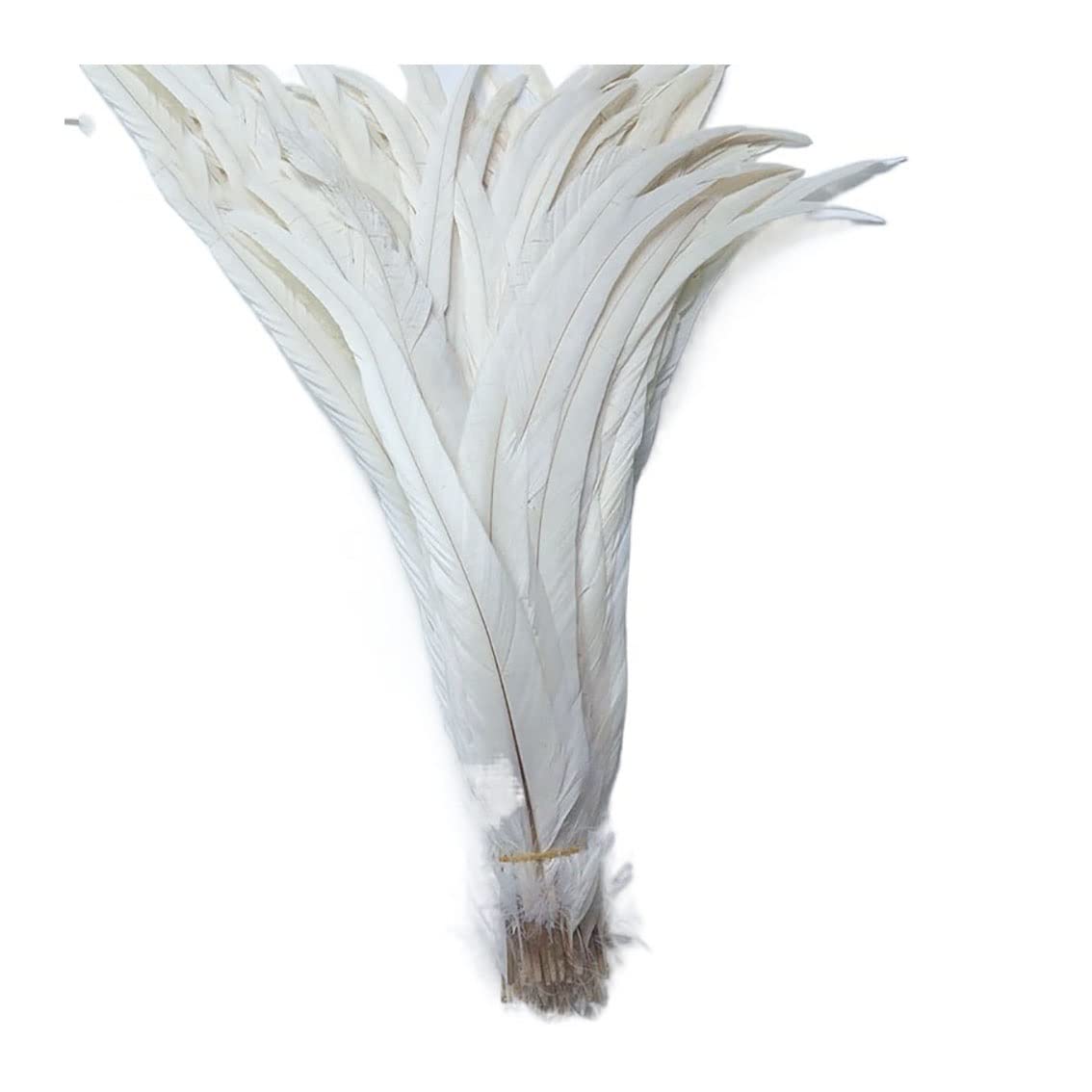 Plumas de gallo naturales para confección de tocados y sombreros de boda