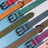 Didog Hundehalsband aus weichem, gepolstertem Leder, atmungsaktives, strapazierfähiges Hundehalsband aus Leder mit Verstellbarer, rostfreier Metallschnalle für mittelgroße und große Hunde, Grün, L