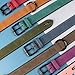 Didog Hundehalsband aus weichem, gepolstertem Leder, atmungsaktives, strapazierfähiges Hundehalsband aus Leder mit Verstellbarer, rostfreier Metallschnalle für mittelgroße und große Hunde, Grün, L