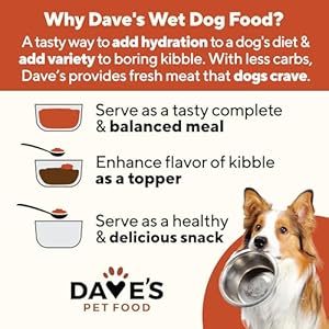   Daves-Pet-Food-Grain-Free-Wet-Dog-Food-Chicken-Vegetable-in-Gravy-Made-in-USA-Naturally-Healthy-Canned-Dog-Food-Added-Vitamins-Minerals-Wheat-Gluten-Free-132-oz-Cans-Case-of-12