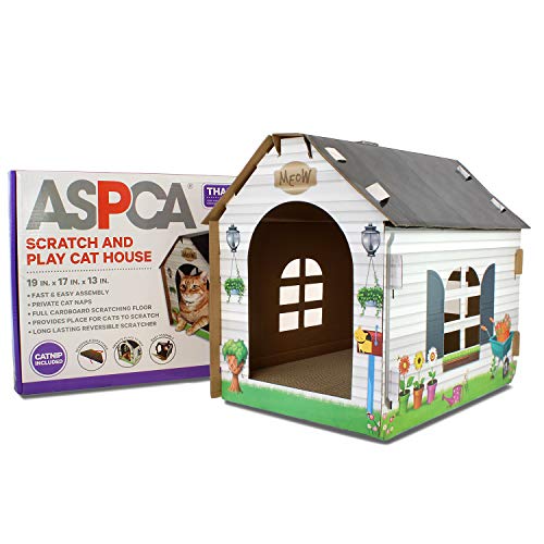 https://m.media-amazon.com/images/I/51Do3TuUDaL._SL500_.jpg