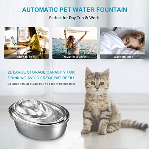 WOPET Cat Water Fountain Stainless Steel,Pet Fountain Dog Water Dispenser, Pet Drinking Fountain with 3 Replacement Filters for Dogs, Cats, Birds and Small Animals - Thumbnail 3