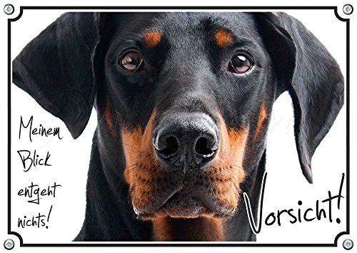 Petsigns Warnschild Dobermann - erstklassiges Hundeschild - rostfrei und beständig, DIN A5