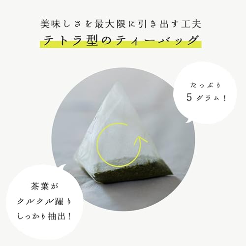 静岡掛川茶 水出し煎茶 緑茶ティーバッグ 125g