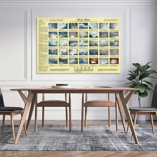 Poster Cloud Types guide identification nuages affiche météorologique éducative 16x24inch - 3