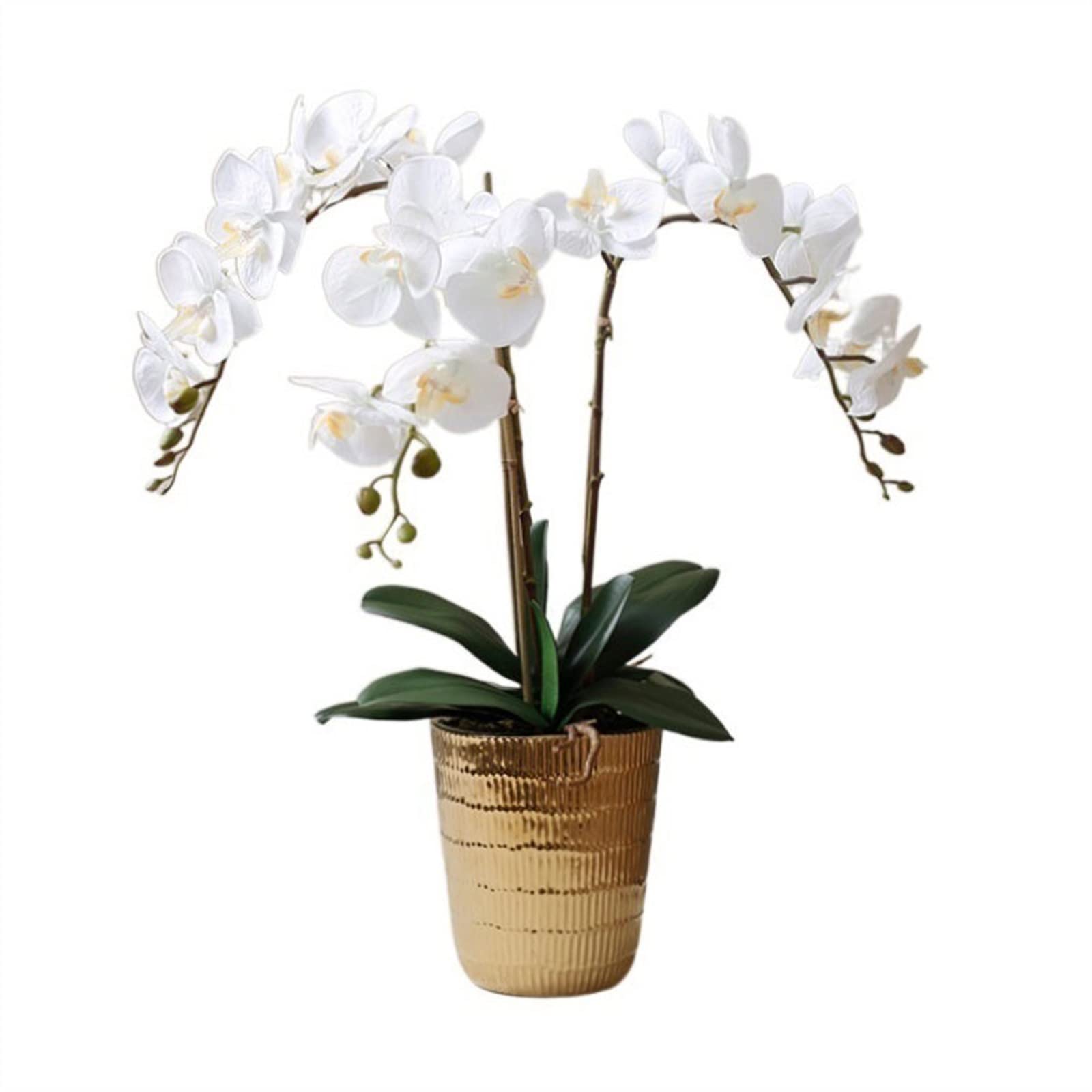 DFGHNBVC Artificial Flowers Phalaenopsis Orchid Simulation Flower Ornament Golden Ceramic Vase Desktop Ornament Fake Flower