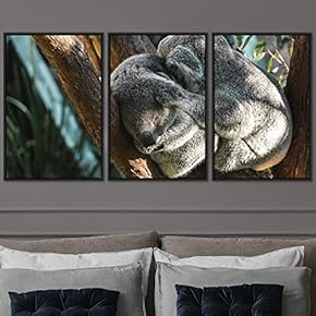 signwin 3 Piece Framed Canvas Wall Art Cuddle...