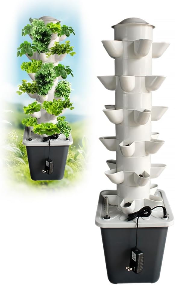 岐阜県、自然栽培、紫蘇、赤紫蘇、シソ 葉、柔らかい枝先付き 農薬未使用 岐阜県、自然栽培、紫蘇、赤紫蘇、シソ 葉、柔らかい枝先付き 農薬未